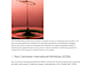 write seo optimized  and original articles and  blog posts